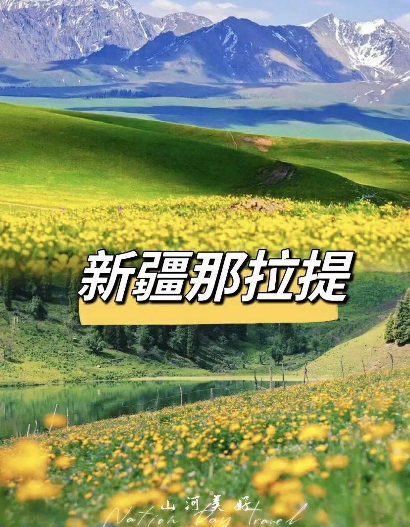 43d5554e73c880b4236f2396b5250f75-sz_350855-1