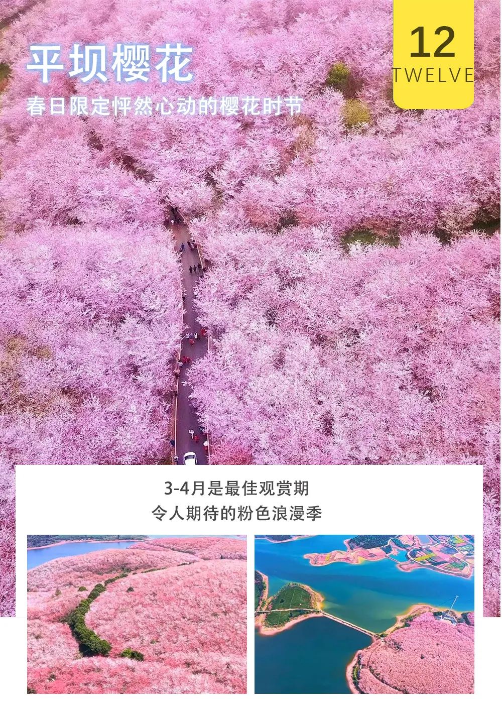 1737011954_1820792503