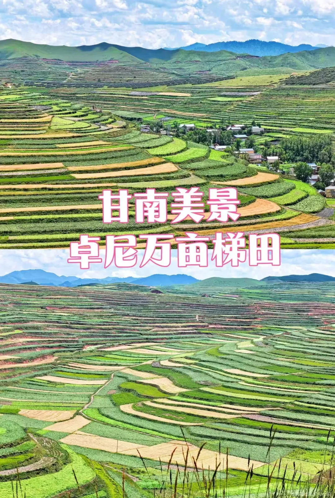 71b8bc19c2944e6da0ca1b2502eeca6c-sz_2237809