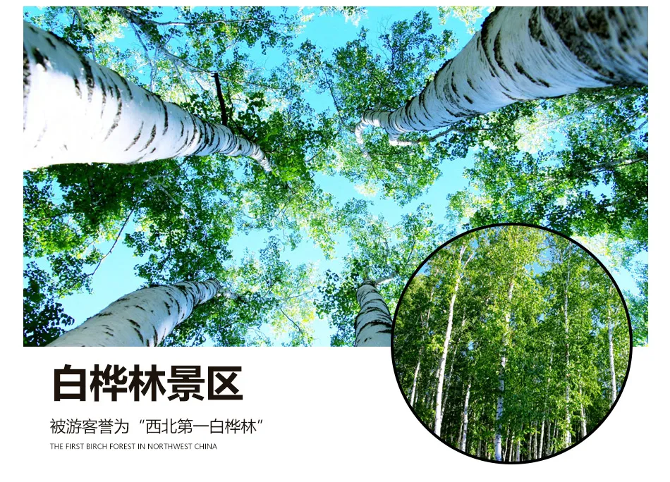 a597a81ffdfa94681fa6f36a10e5da45-sz_385145