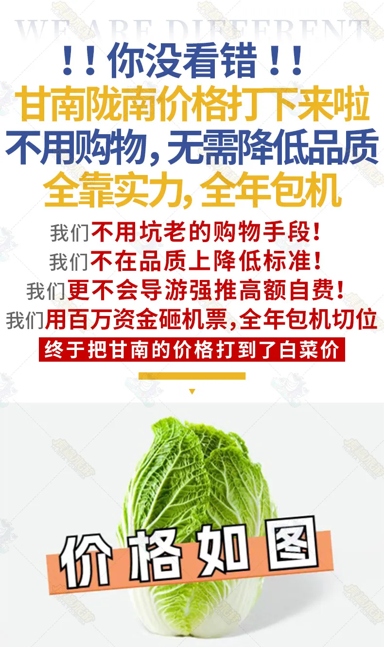 cabbabf61aa0900795e1ce9970ffbfa0-sz_741929